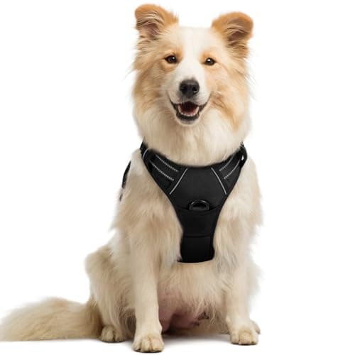 Image of rabbitgoo Dog Harness Medium No Pull Pet Harness with 2 Leash Clips, Adjustable Soft Padded Pet Vest Harness, Reflective No-Choke with Easy Control Handle for Training or Walking, Black, M