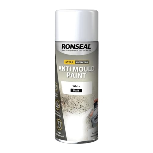 Image of Ronseal 6 Year Anti Mould Aerosol White Matt 400ml