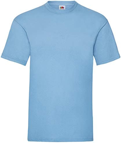 Image of Fruit of the Loom Men's Short-Sleeved T-Shirt - Sky Blue - Medium