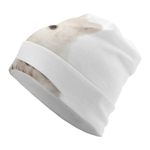 Image of Lyfthologen Knit Hat,Polar Bear Beanie Hat, Beanie Cap for Running Cycling Outdoor Sports