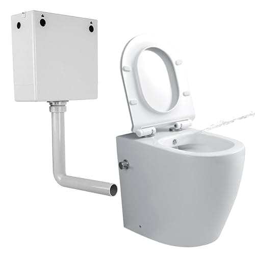 Image of Comfort Height Back to Wall Toilet with Bidet Concealed Cistern All in One Integrated Combined Bidet Toilet BTW Rimless Bathroom Toilets Ceramic WC Pan Soft Close Seat Compact WC