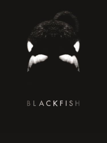 Image of Blackfish