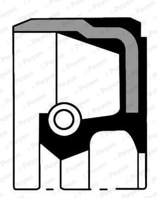 Image of Payen NC006 Shaft Seal, camshaft