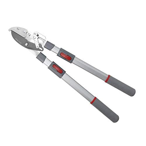 Image of Kent and Stowe Telescopic Ratchet Anvil Loppers