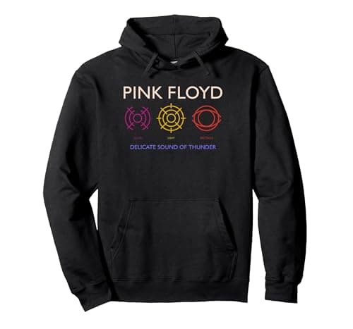 Image of Pink Floyd Delicate Sound of Thunder Pullover Hoodie, Adult Unisex, Black, X-Large