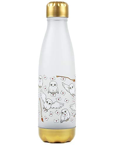 Image of Harry Potter Hedwig Letter Owl 600ml School Plastic Drinks Bottle