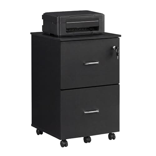 Image of VASAGLE 2-Drawer File Cabinet, Locking Filing Cabinet for Home Office, Small Rolling File Cabinet, Printer Stand, A4, Letter-Size Hanging Files, Assembly Required, Black LCD27BKV1