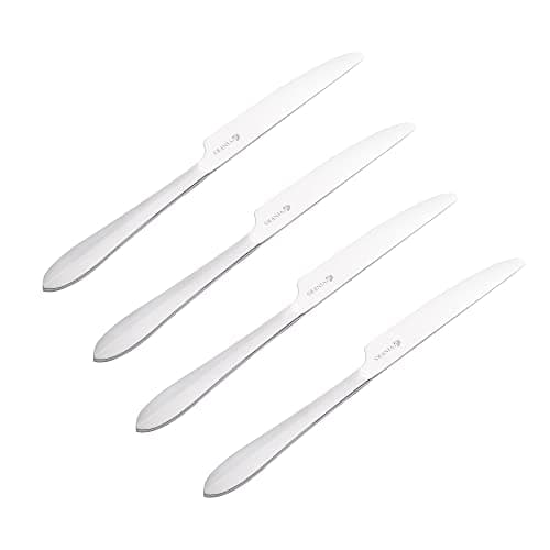 Image of Viners Everyday Breeze 18/0 4 Pce Table Knife Set