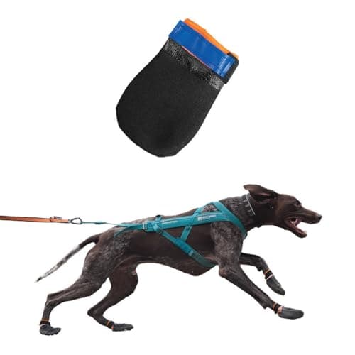 Image of Non-Stop Dogwear Protector Bootie (4pk), Black/Orange - M