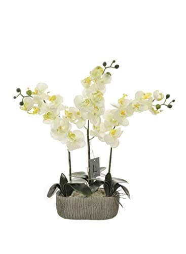 Image of Everlasting Triple Moth Orchid Complete with Pot, Potted Artificial Orchid in 5 colours, Cream,Magenta, Pale Green, Pink, White