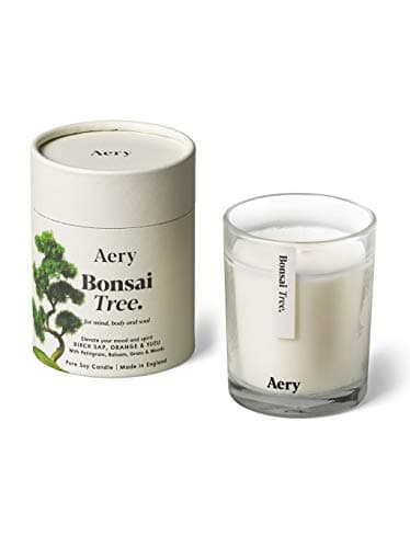Image of Aery Botanical Candle, Bonsai Tree