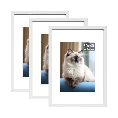 Image of RUN HELIX 30x40 Picture Frame Set of 3, White Picture Frames 30 x 40cm, Photo Frames,Plexiglass, Poster Frames With Wall Hanging