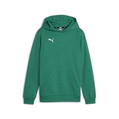 Image of PUMA Boys Teamgoal Casuals Hoody Jr Pullover, Sport Green-puma White, 152 EU