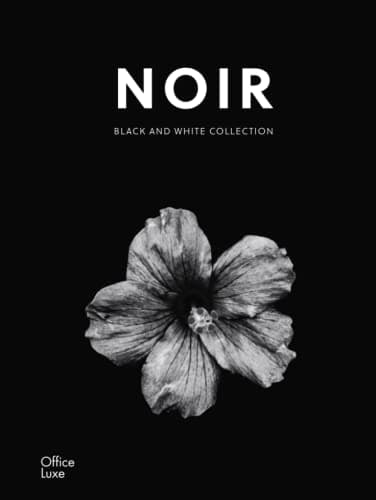 Image of Noir: Coffee Book Black and White Art Minimalist Coffee Books Decor Living Room (Coffee Table Books)