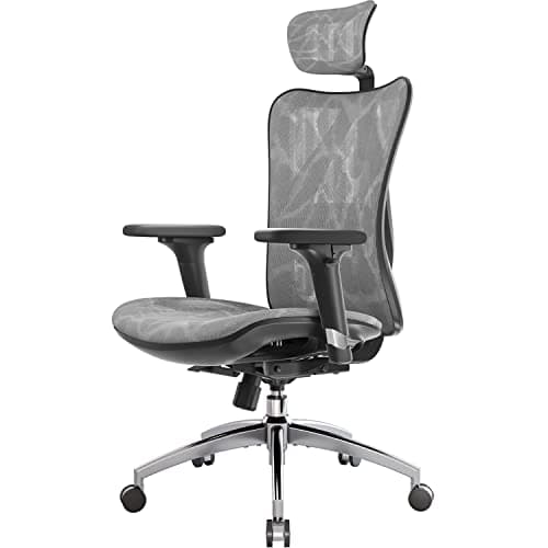 Image of SIHOO M57 Ergonomic Office Chair Mesh Desk Chair with Adjustable Lumbar Support 3D Armrests Breathable High Back Computer Chair (Grey)