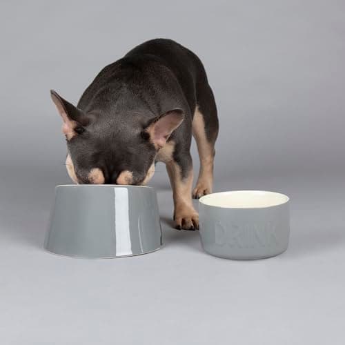 Image of Scruffs Classic 2 Piece Flat Faced Dog Bowl & Water Bowl - 20cm | 18cm - Grey