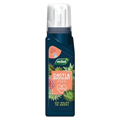 Image of Westland Cacti & Succulent Feed Concentrate 200ml
