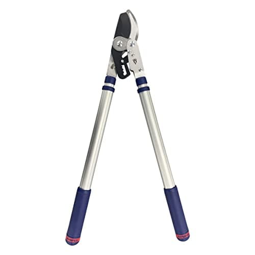 Image of Telescopic Bypass Lopper