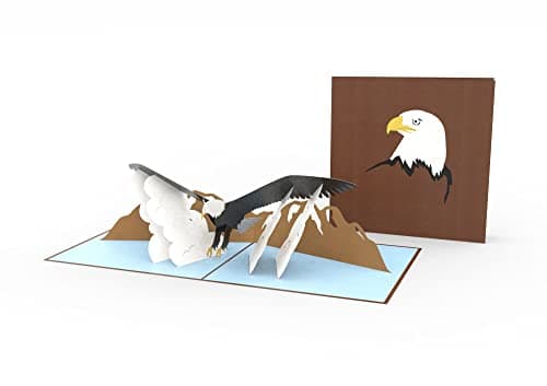 Image of Bald Eagle Laser Cut Pop Up Greeting Card Any Occasion Love Kate's Card Moments PC012