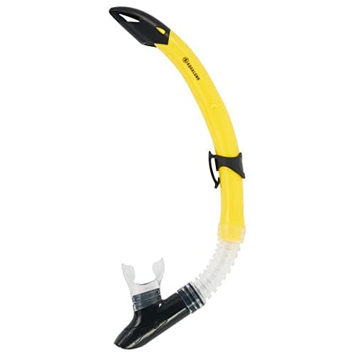 Image of AQUA LUNG SPORT GOBI SN Yellow Black - L