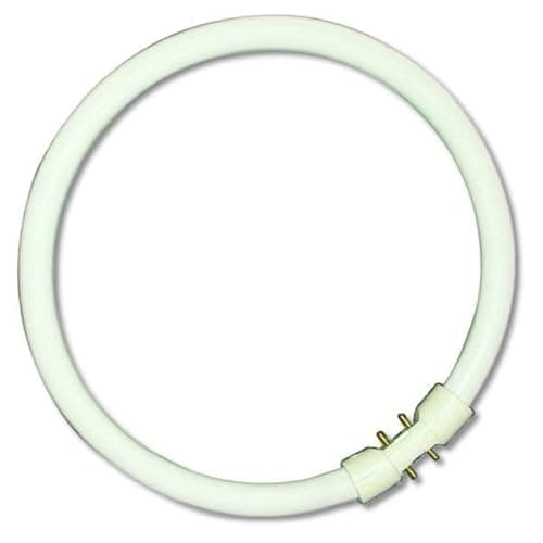 Image of 22w Circular lamp T5-2GX13-3000K Warm White - 225mm Round Fluorescent Tube