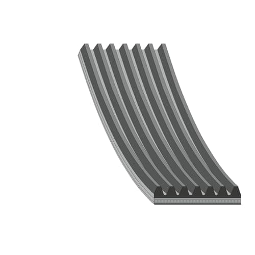 Image of FEBI BILSTEIN V-ribbed belt