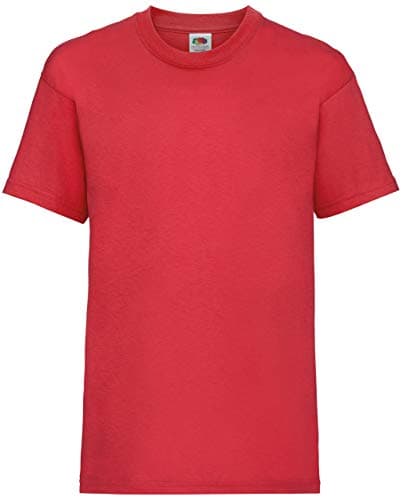 Image of Fruit of the Loom Childrens/Kids Original Short Sleeve T-Shirt (12-13 Years) (Red)
