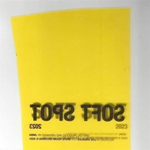 Image of Soft Spot [VINYL]