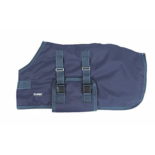 Image of Shires Tempest Original Foal Turnout Rug - Navy/Turquiose 3ft9