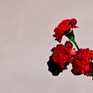 Image of Love in the Future by Legend, John [Music CD]