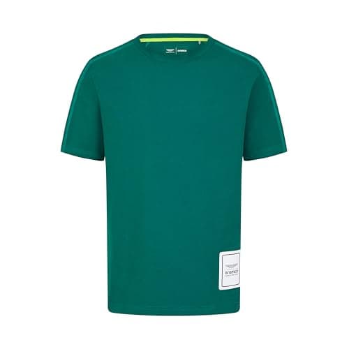 Image of Aston Martin F1 Men's Logo Tshirt - Green - Size: X-Large