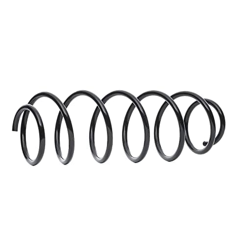 Image of KYB Front Coil Spring RH2941