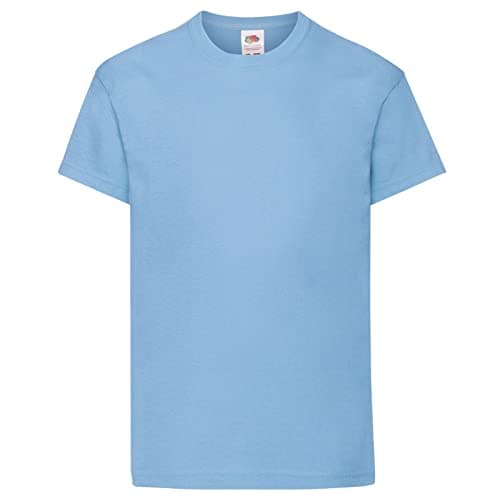 Image of Fruit of the Loom Childrens/Kids Original Short Sleeve T-Shirt (9-11 Years) (Sky Blue)