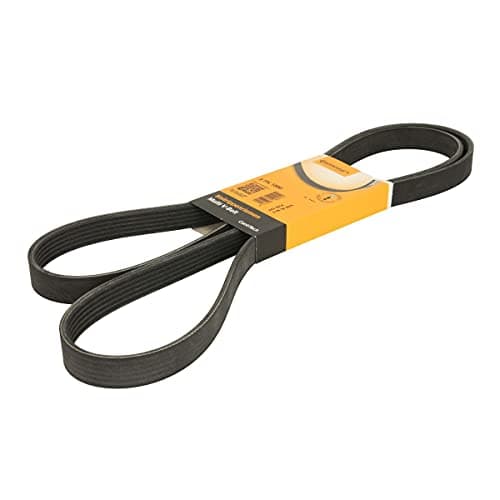 Image of 1 x Original CONTITECH V-Ribbed Belt
