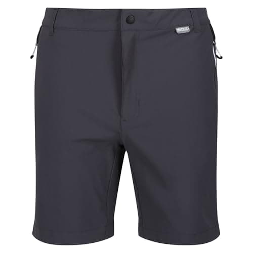 Image of Regatta Mens Mountain II Shorts Seal Grey/Black