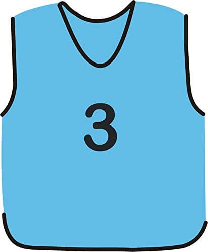 Image of NUMBERED FOOTBALL MESH TRAINING SPORTS BIBS (1-10 OR number of your choice)-Back only (Sky, Small Boys (U8's))