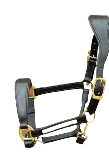 Image of Equipride Anatomical Leather Headcollar, Supersoft Padded, Gold Fittings, Fully Adjustable (Brown, Extra Full)
