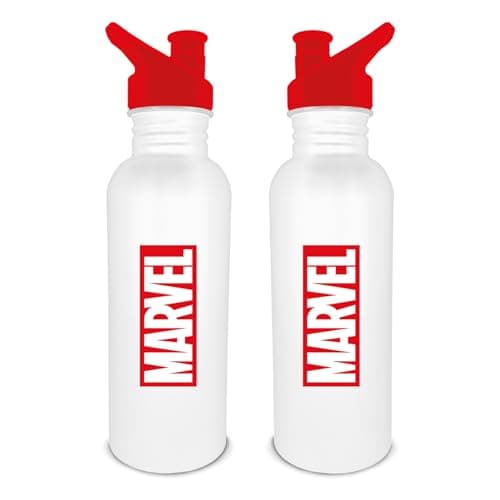 Image of Marvel Metal Water Bottle (700ml), Marvel Gifts for Men, Women & Kids - Official Merchandise