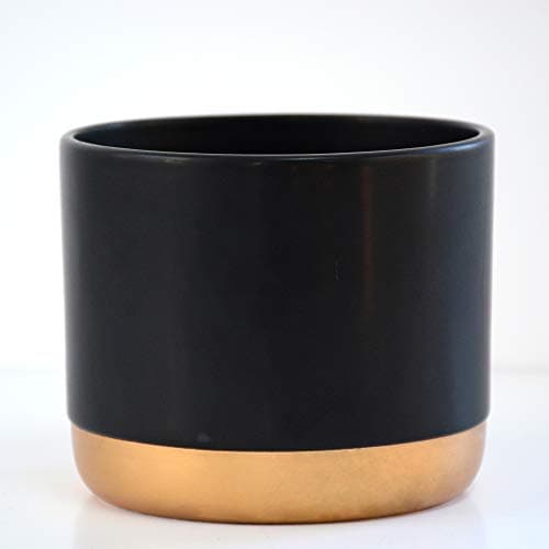 Image of Two-Tone Black & Gold Medium Ceramic Plant Flower Pot Round Modern Stylish Simple Design for Indoor House Plants Succulents 1 x Medium Black & Gold Ceramic Pots by Thompson and Morgan