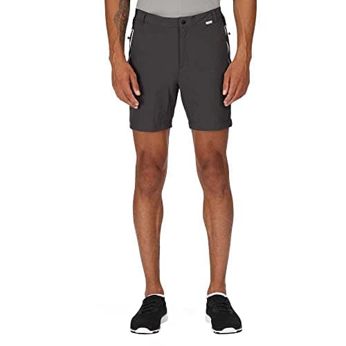 Image of Regatta Mens Mountain II Shorts Ash/Black