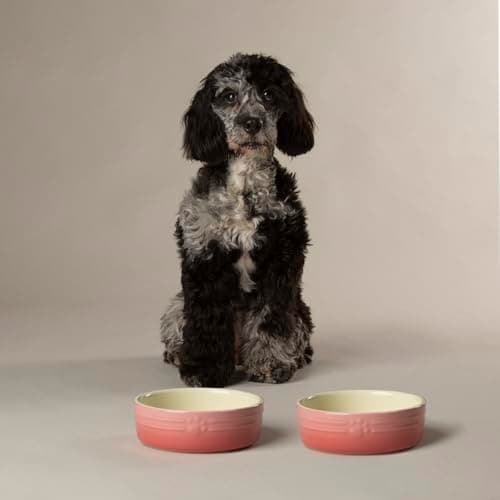 Image of Scruffs Ombre 2pc Ceramic Dog Bowl Set - Pink 15cm