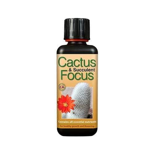 Image of cactus focus 100ml FREE PIPPET