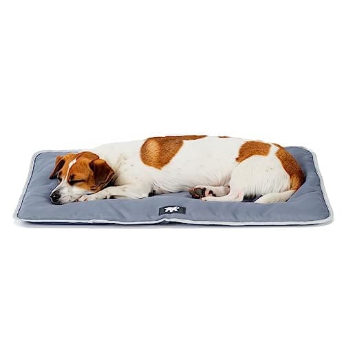 Image of Ferplast Dog & Cat Mat - Washable Dog Bed - Waterproof & Scratchproof - Soft Mat for Cars, Kennels & Baskets - Jolly - 65 x 48 CM, SM, GREY