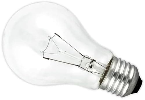 Image of 100 Watt GLS Standard Shape Clear Light Bulb with Edison Screw for Residential and Commercial Lighting