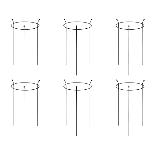 Image of 6 Pack of Small 60cm x 35cm Heavy Duty Black Steel Herbaceous Garden Plant Support Ring