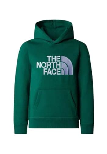 Image of The North Face Boy's Drew Peak P/O Hooded Sweatshirt, Evergreen, 14 Years