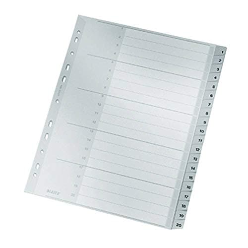 Image of Esselte Leitz 12840000 Plastic Index 1–20 A4 Polypropylene 20 Sheets Grey