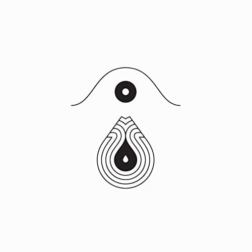Image of Ready Not Ready [VINYL]