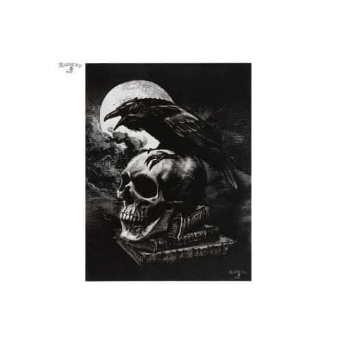Image of Something Different Canvas Plaque | Poe's Raven By Alchemy | H25cm x W19cm x D1.5cm | pack of 1, Black, White