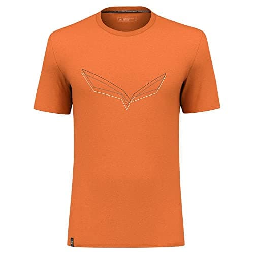 Image of Salewa Pure Eagle Frame Dry M Tshirt, Autumnal, M, Male
